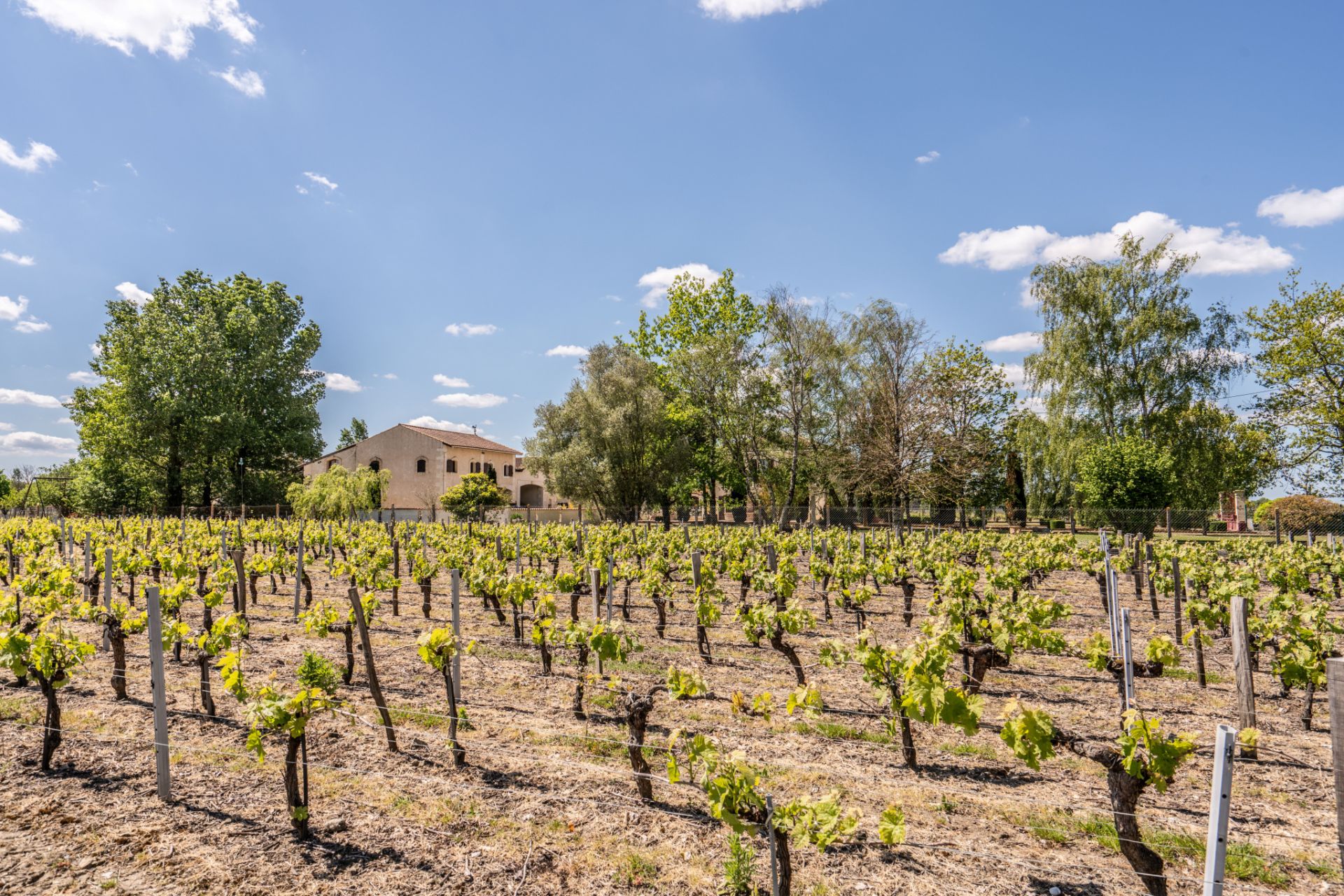 propriété viticole 14 Pièces en vente sur Blaignan (33340)