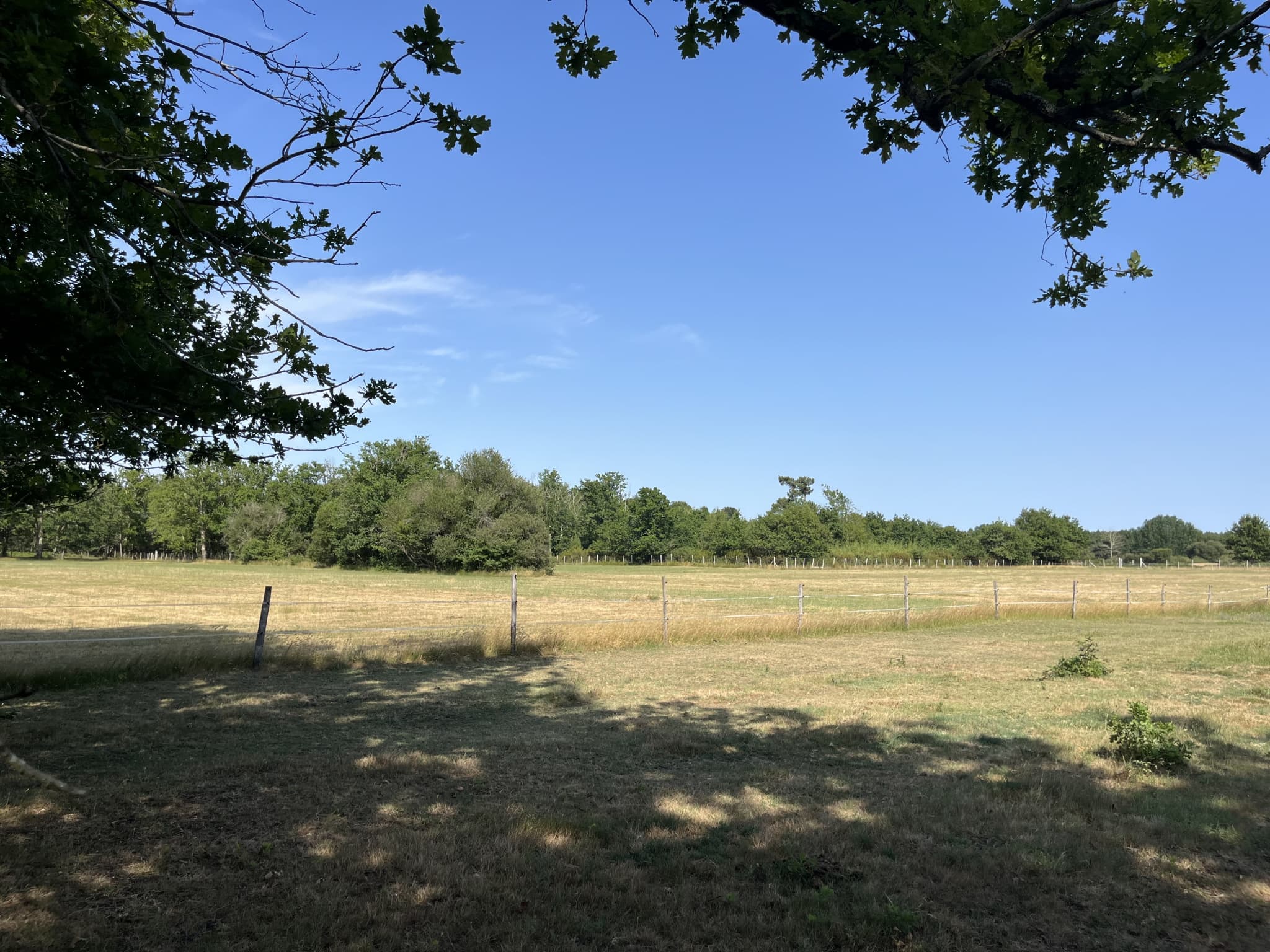 Property feature image