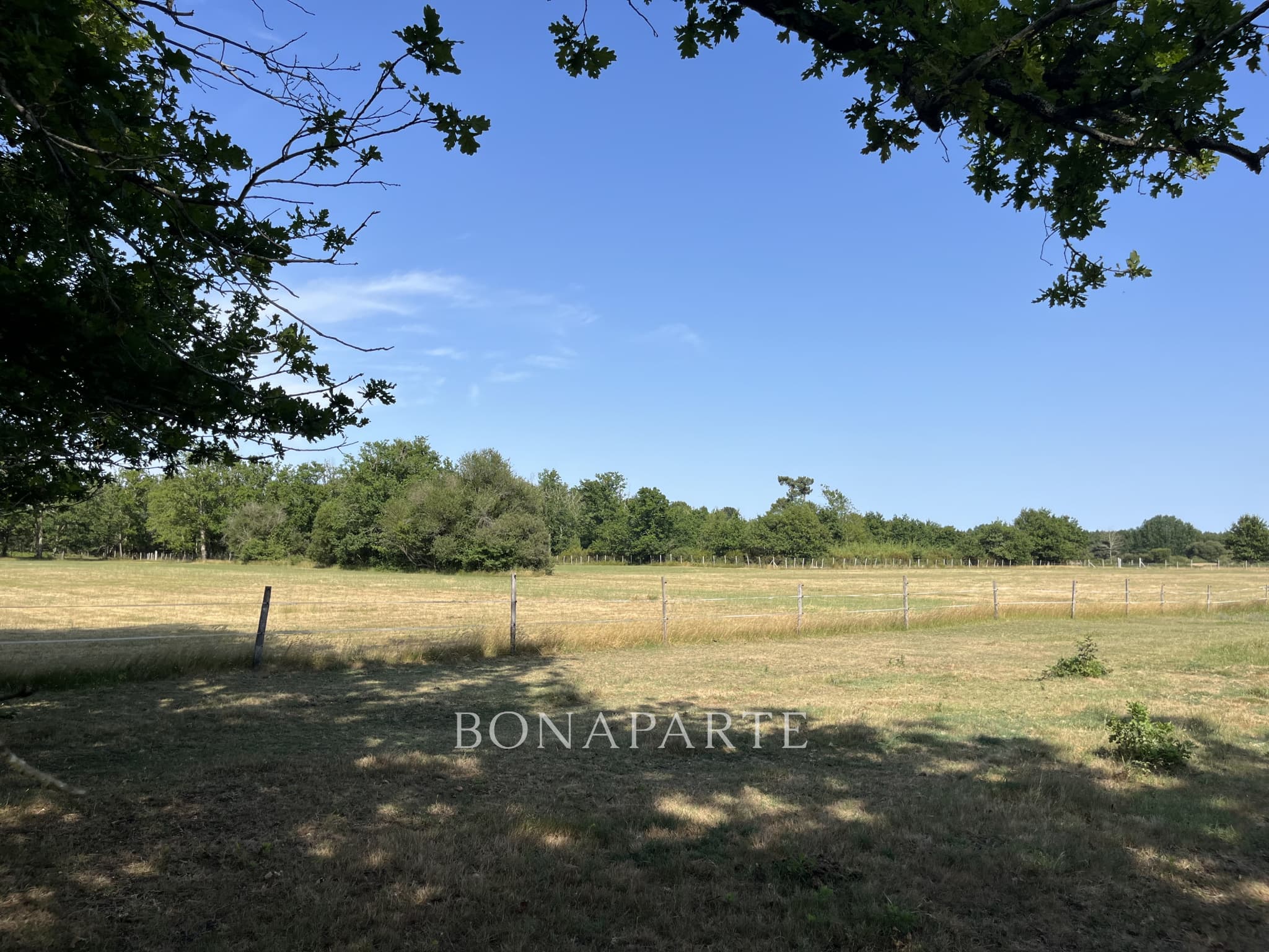 Property feature image