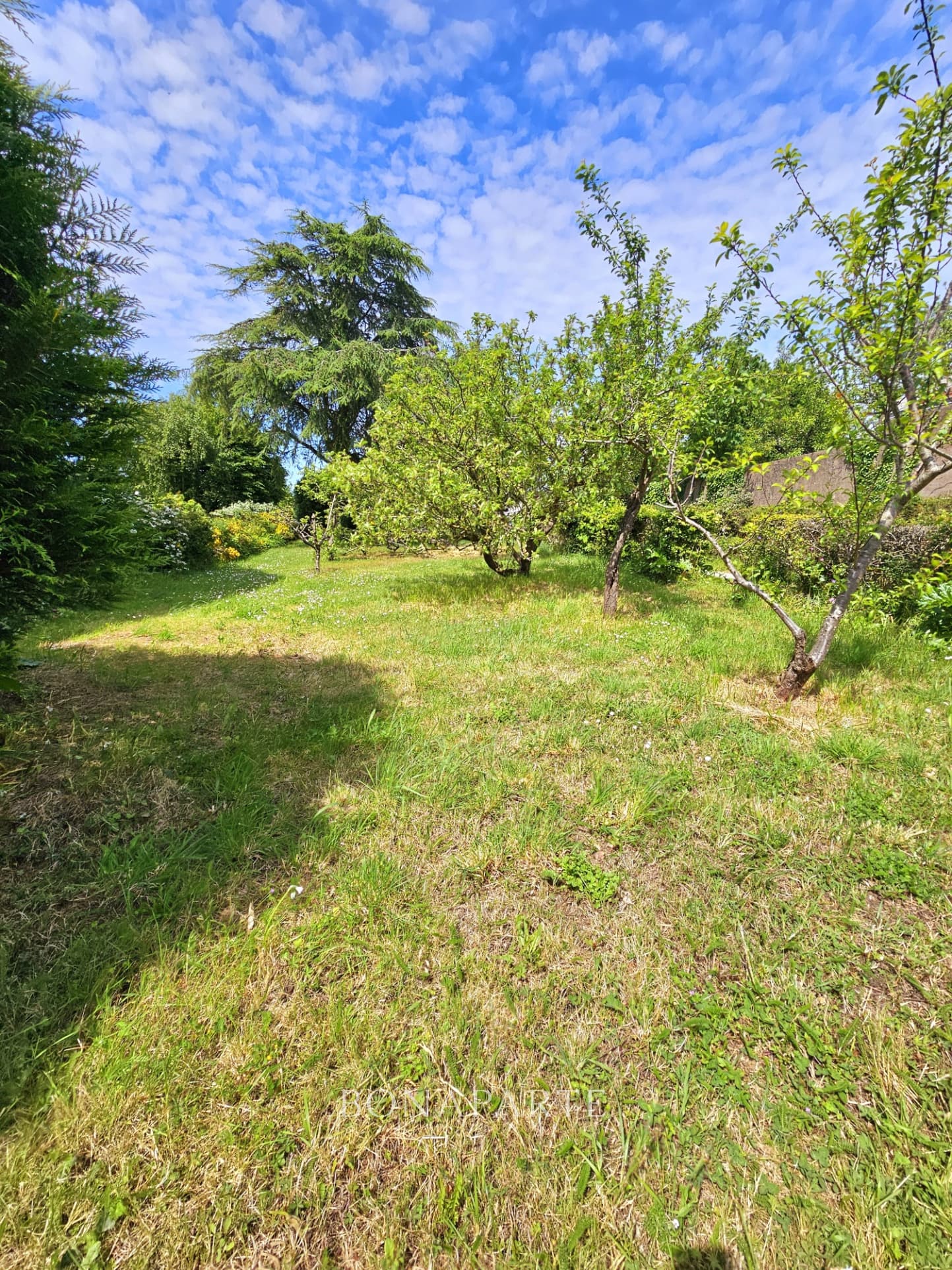 Property feature image