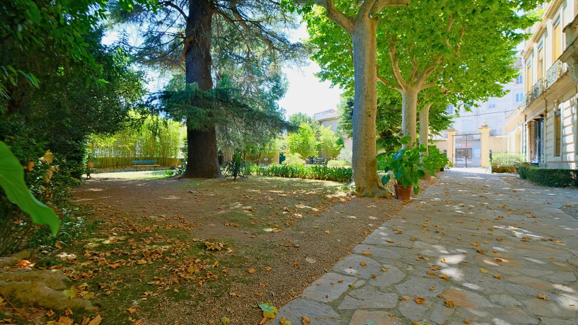 Property feature image