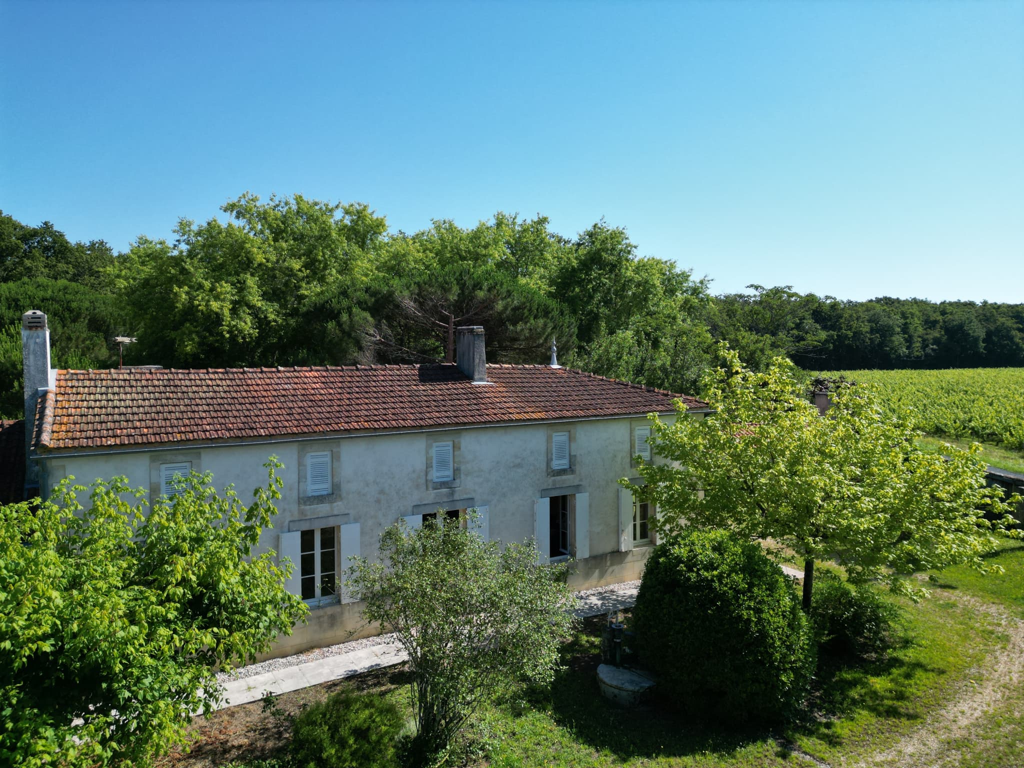 Property feature image