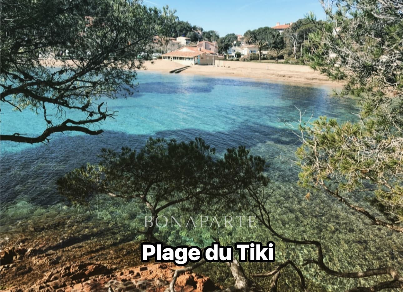 Property feature image