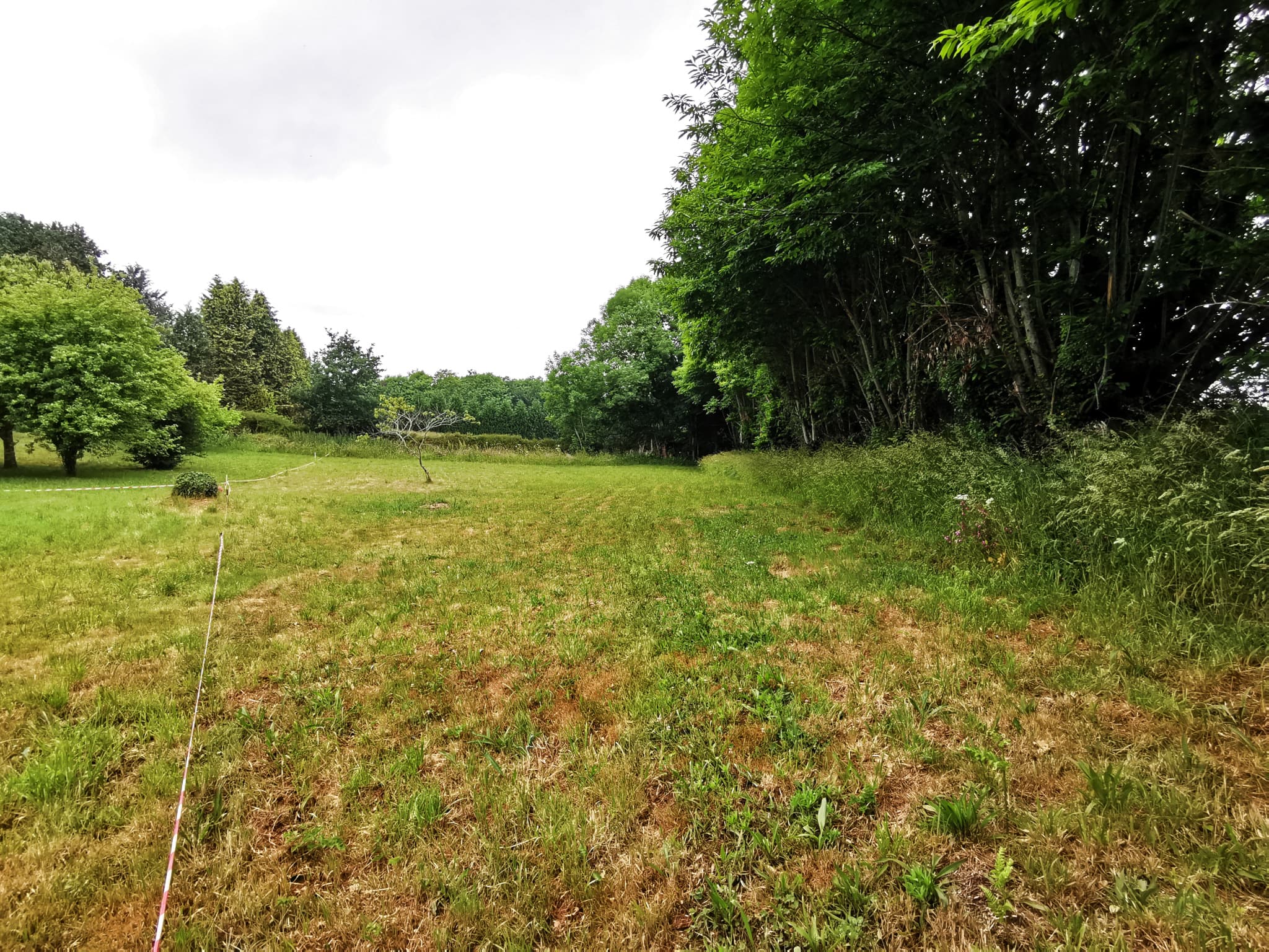 Property feature image