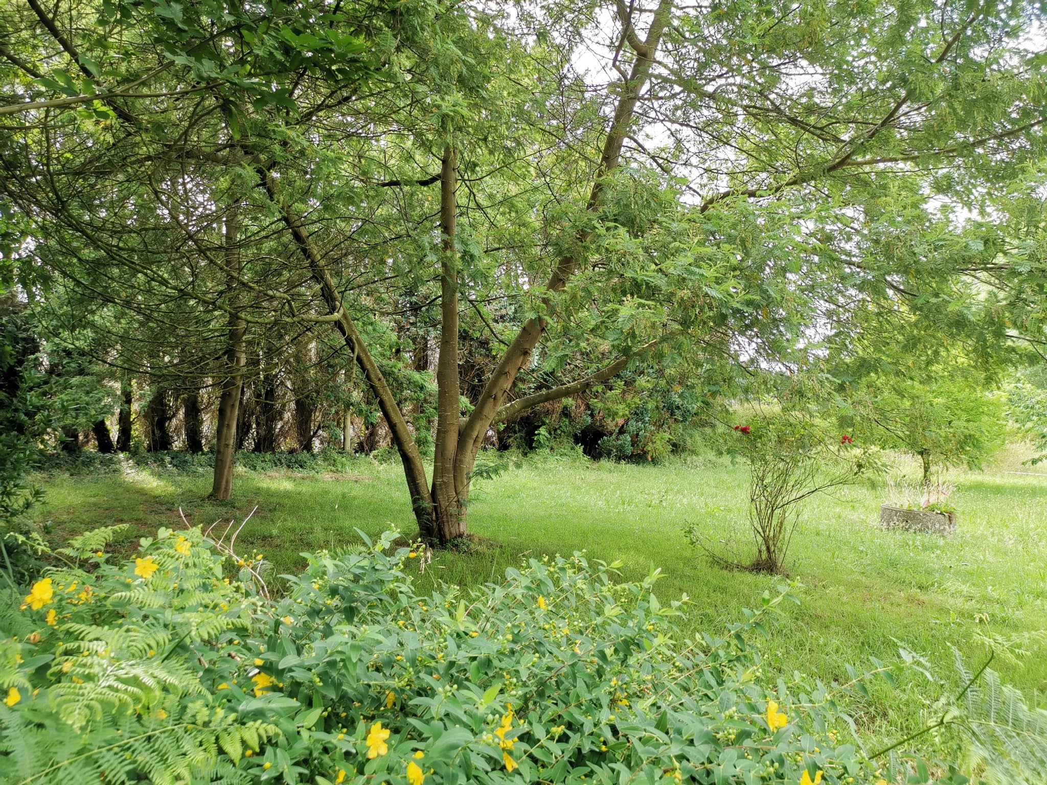 Property feature image