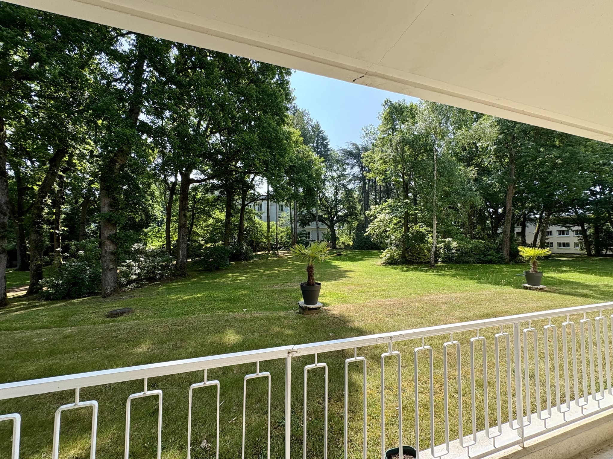 5-room apartment with unobstructed view of the park 