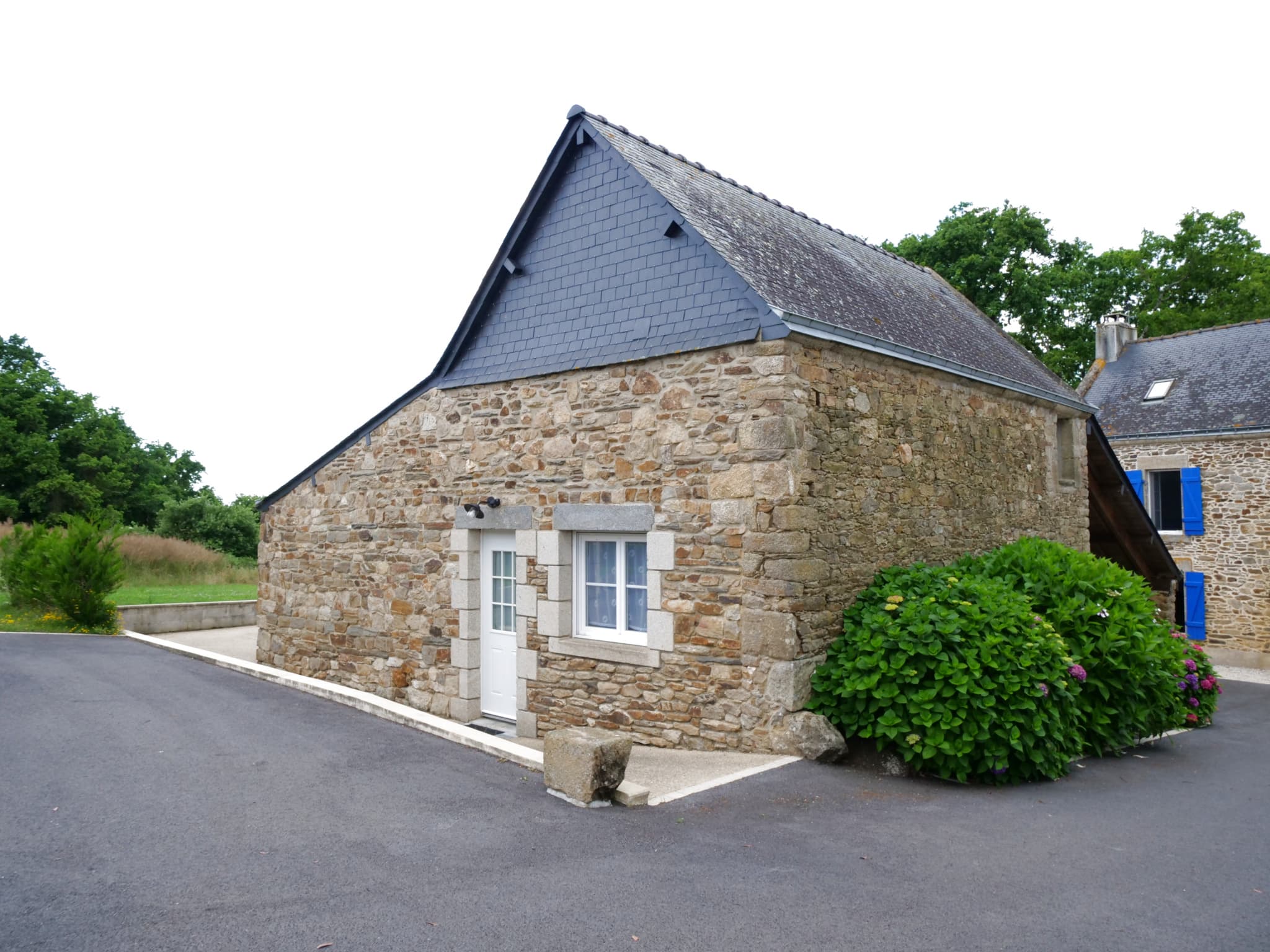 Image 7