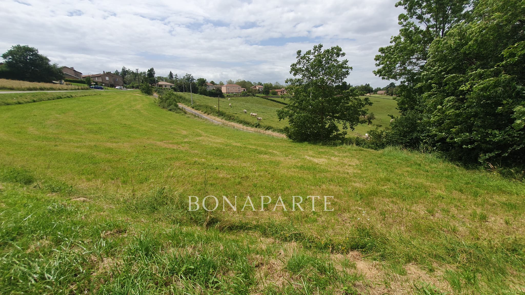 Property feature image