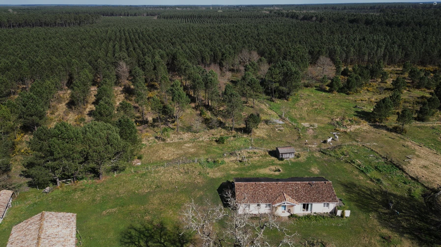 Domaine de 18 hectares clos proche des plages océanes et à 3