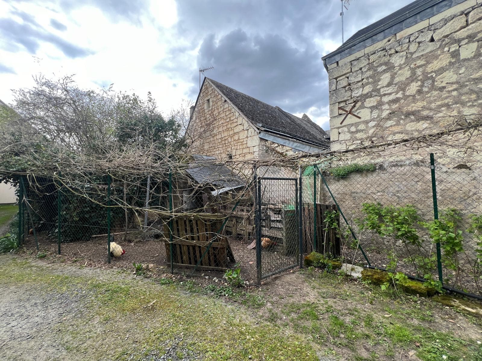 Image 8