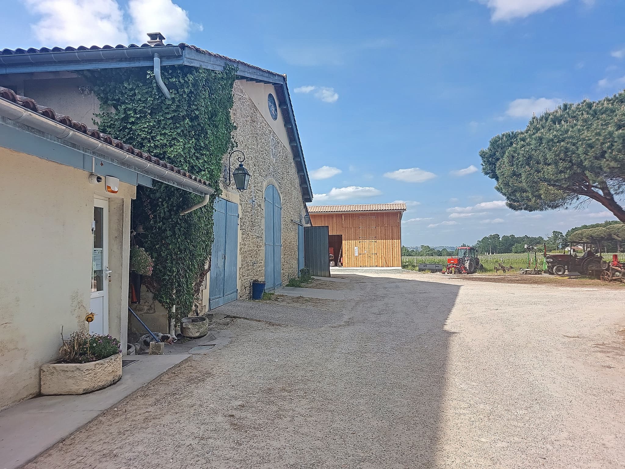 Hangars de stockage et anciens chais 1 500 m2