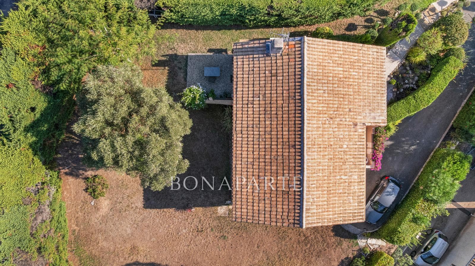 Property feature image