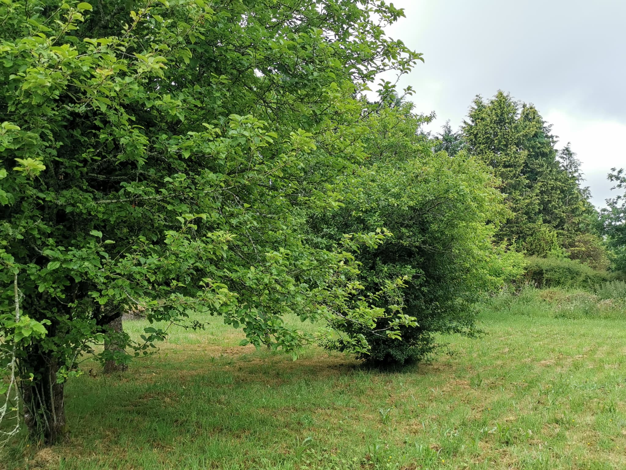 Property feature image