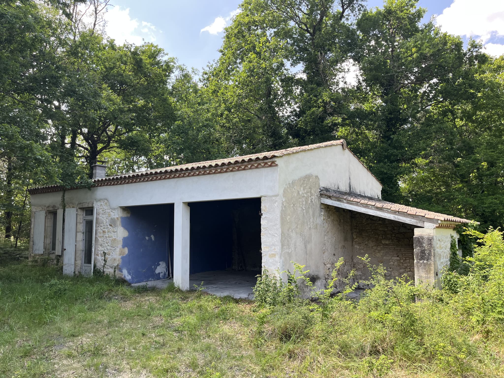 Image 8