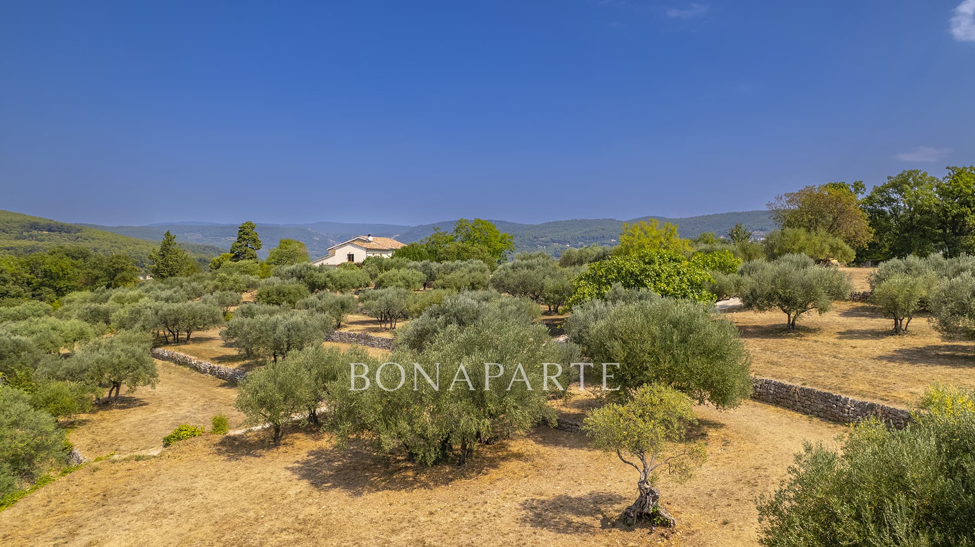 Property feature image