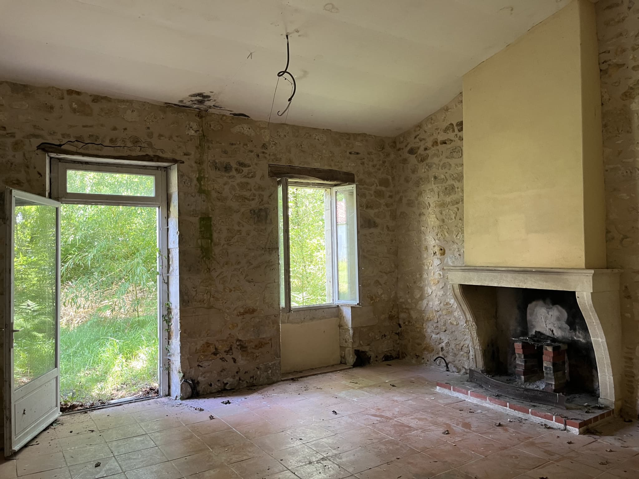 Image 4