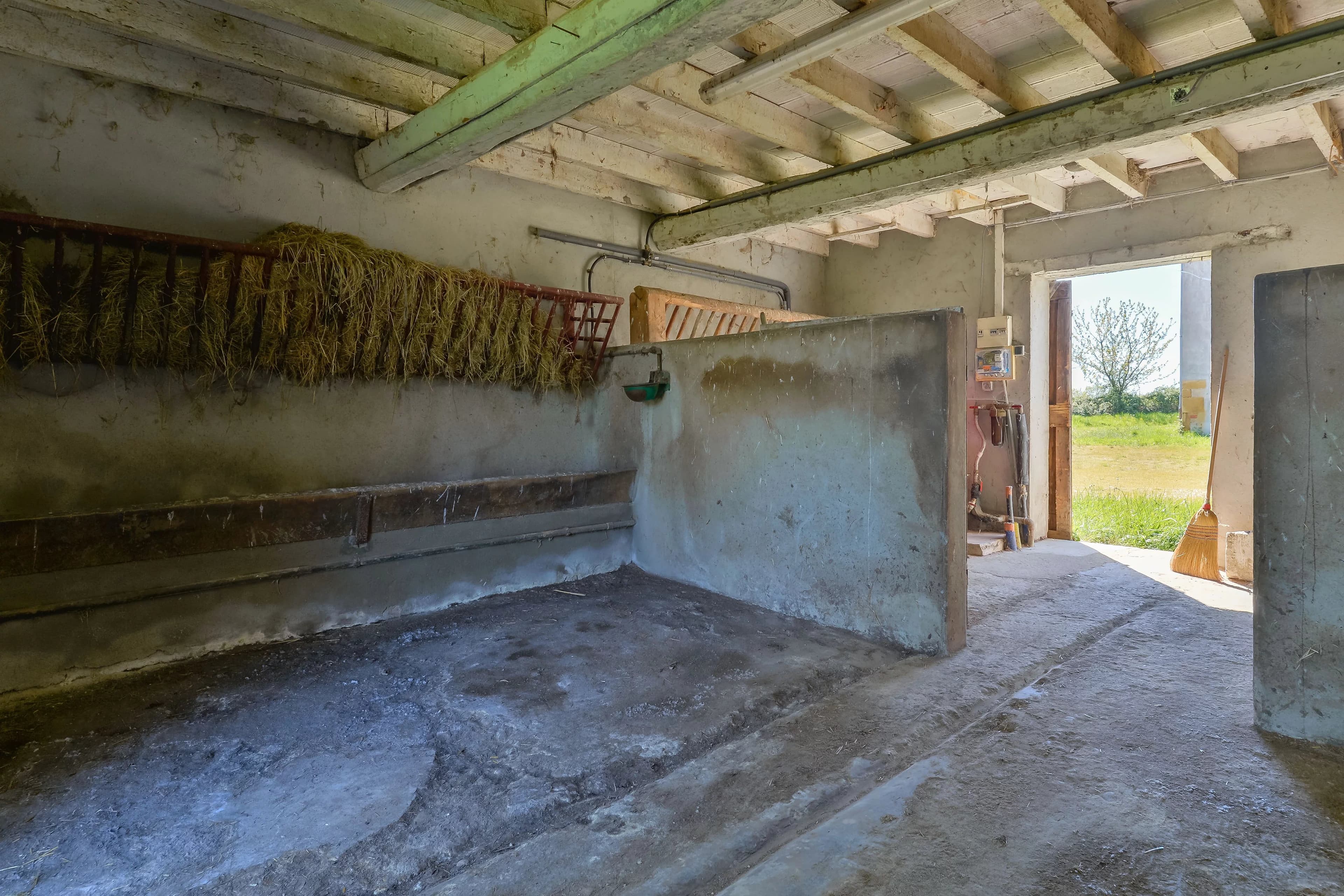 PROPRIÉTÉ EXCEPTIONNELLE DANS LA DOMBES- 118 ha DE PRAIRIES, BOIS ET ETANG - Photo 19