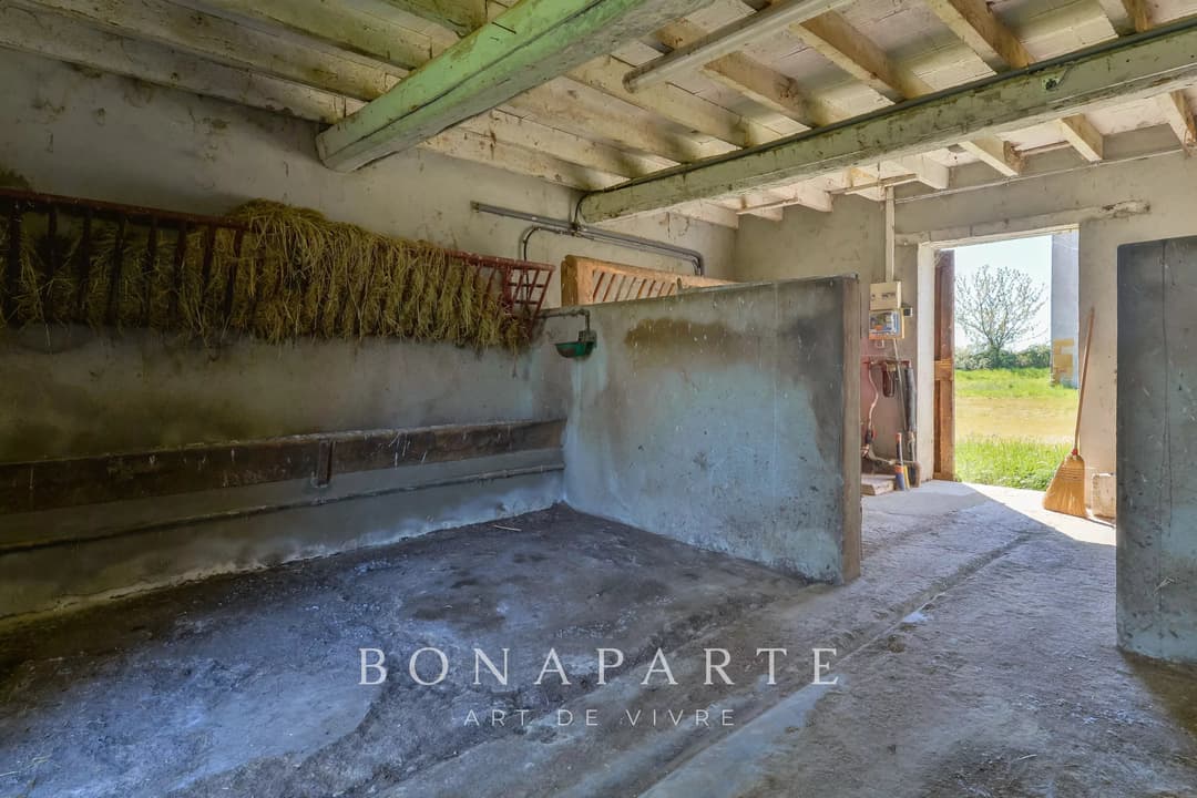 PROPRIÉTÉ EXCEPTIONNELLE DANS LA DOMBES- 118 hec DE PRAIRIES, BOIS ET ETANG - Photo 19