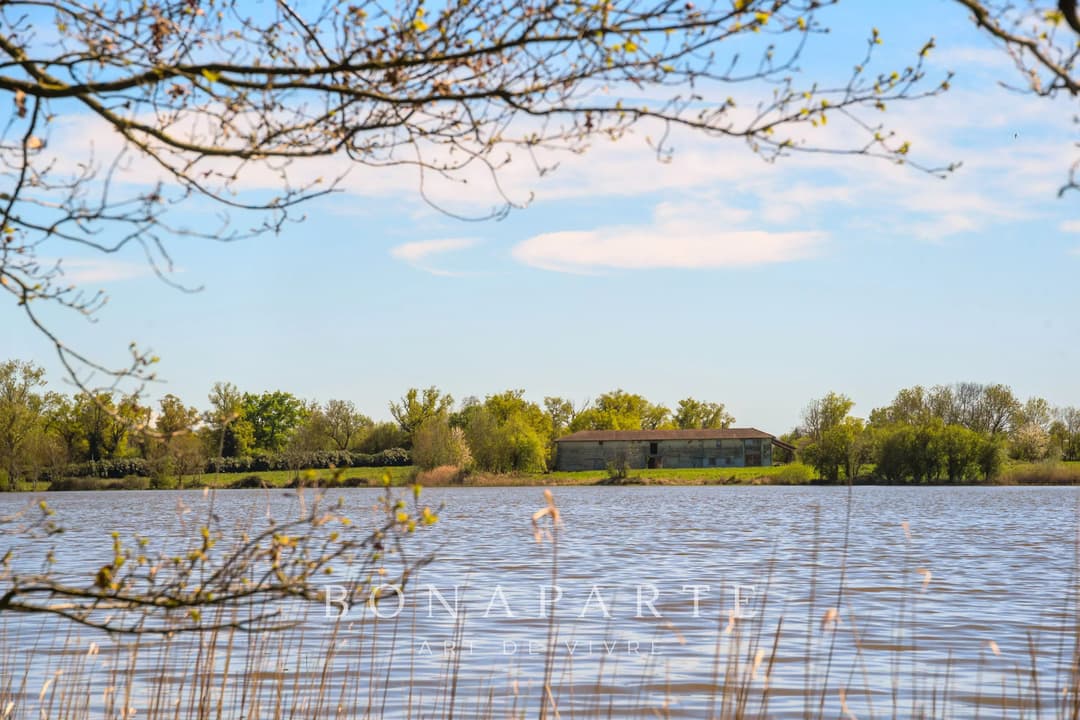 PROPRIÉTÉ EXCEPTIONNELLE DANS LA DOMBES- 118 hec DE PRAIRIES, BOIS ET ETANG - Photo 18