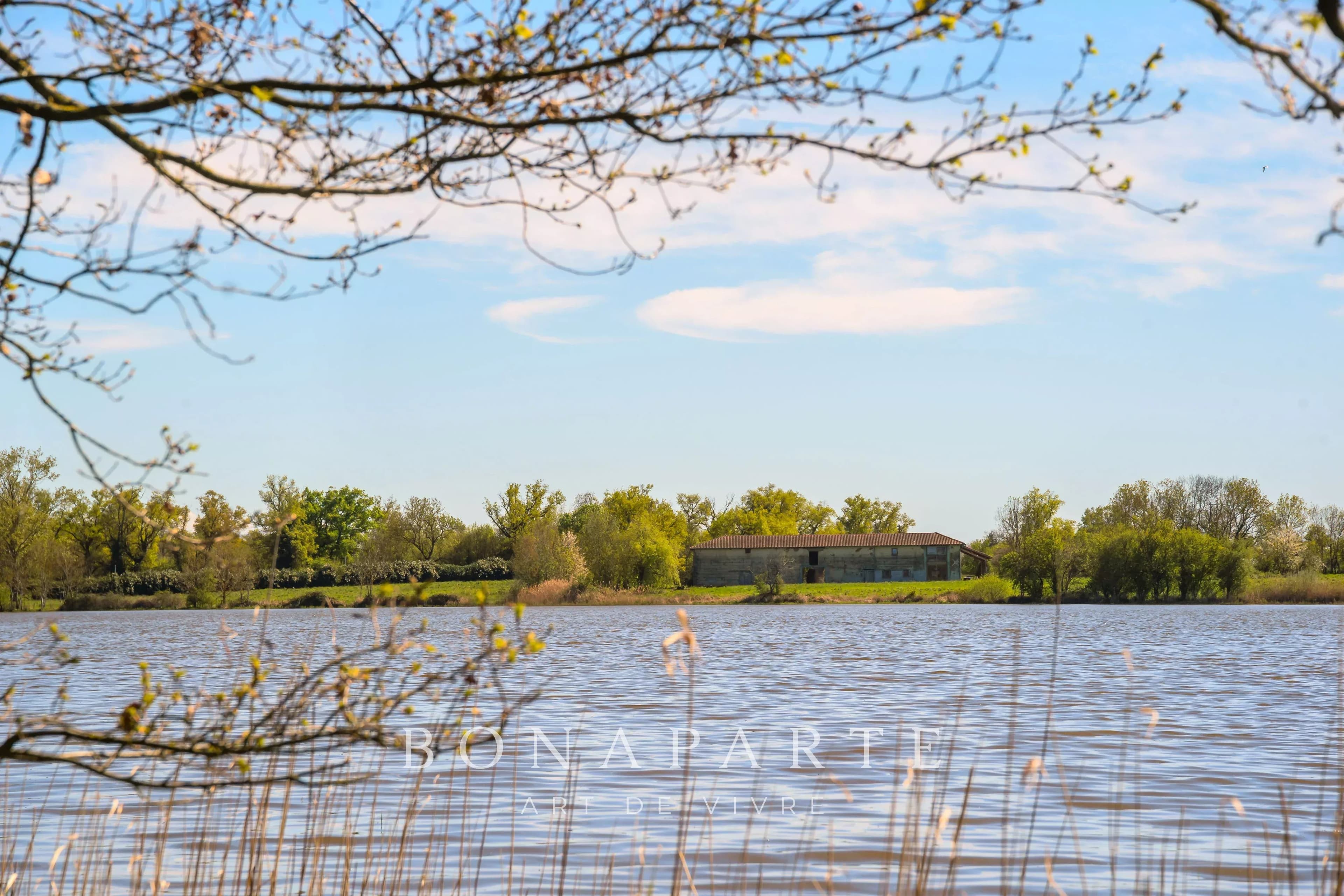 PROPRIÉTÉ EXCEPTIONNELLE DANS LA DOMBES- 118 ha DE PRAIRIES, BOIS ET ETANG - Photo 18