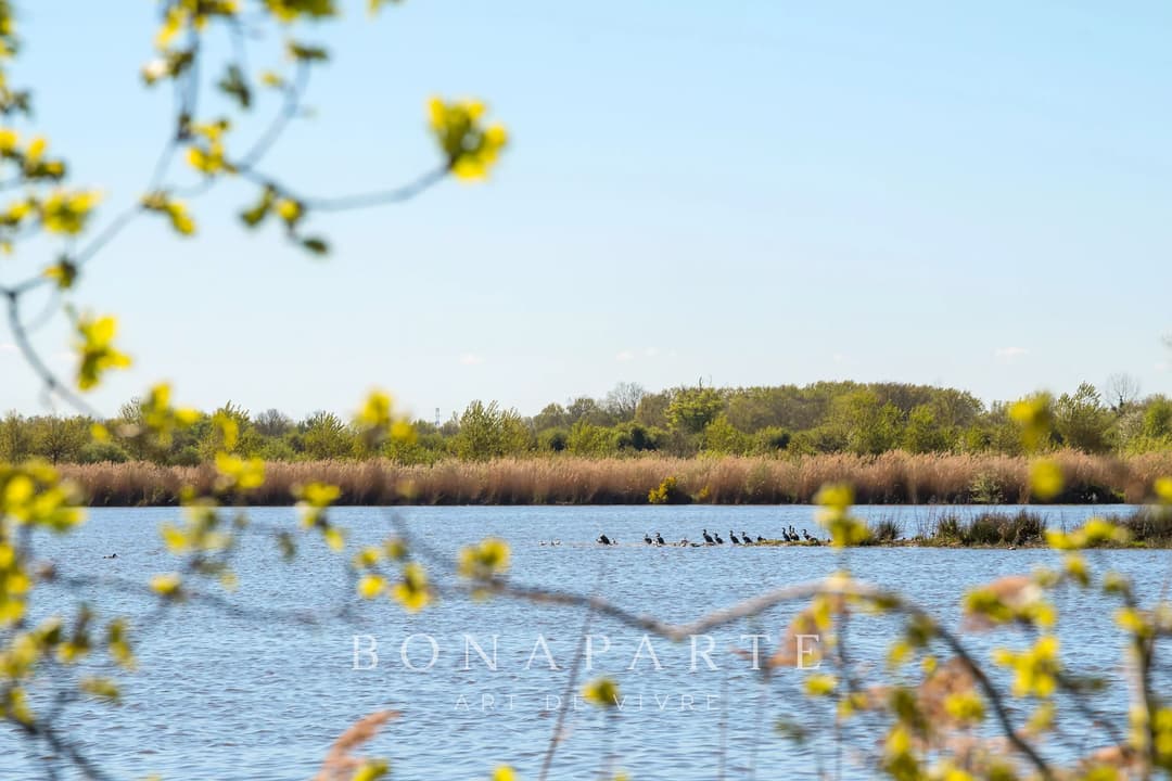 PROPRIÉTÉ EXCEPTIONNELLE DANS LA DOMBES- 118 hec DE PRAIRIES, BOIS ET ETANG - Photo 16