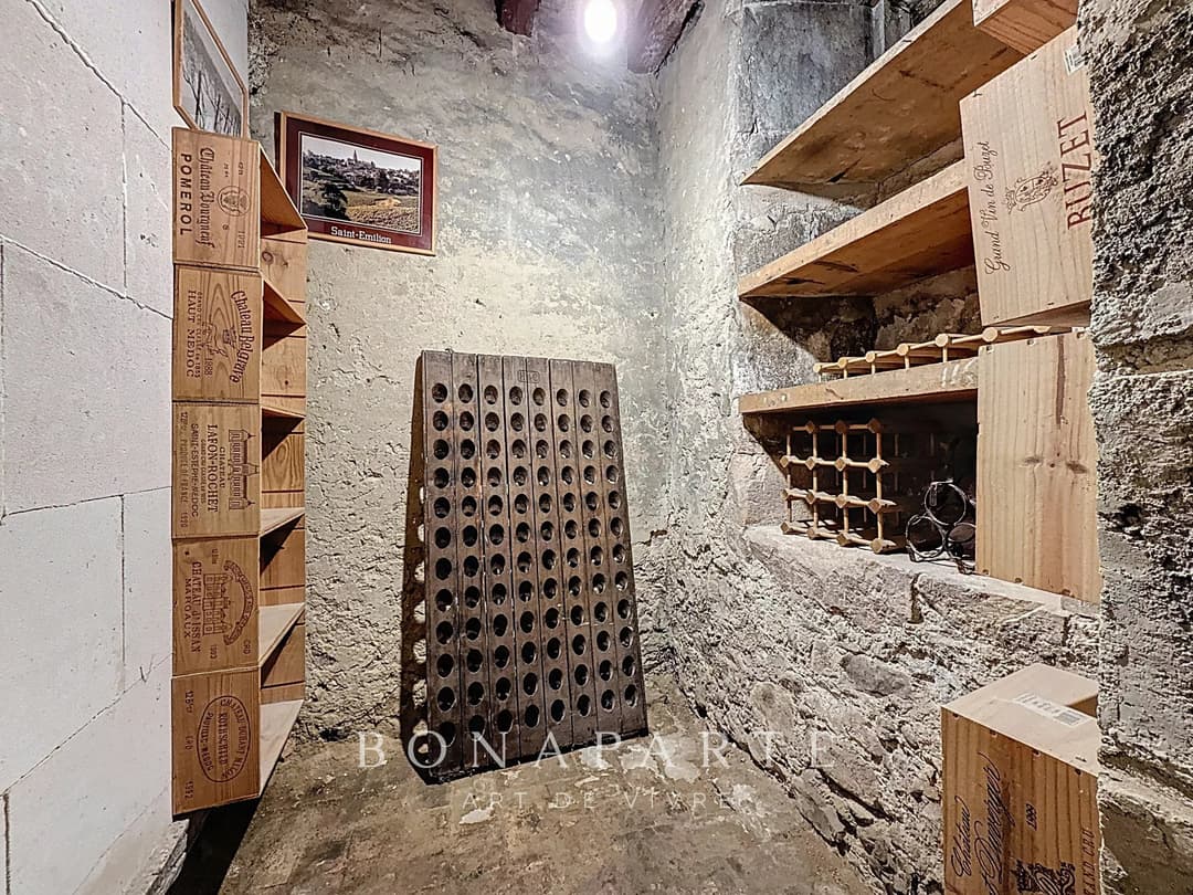 Gex - Appartement de caractère de 192 m² et 246 m² au sol - Photo 19