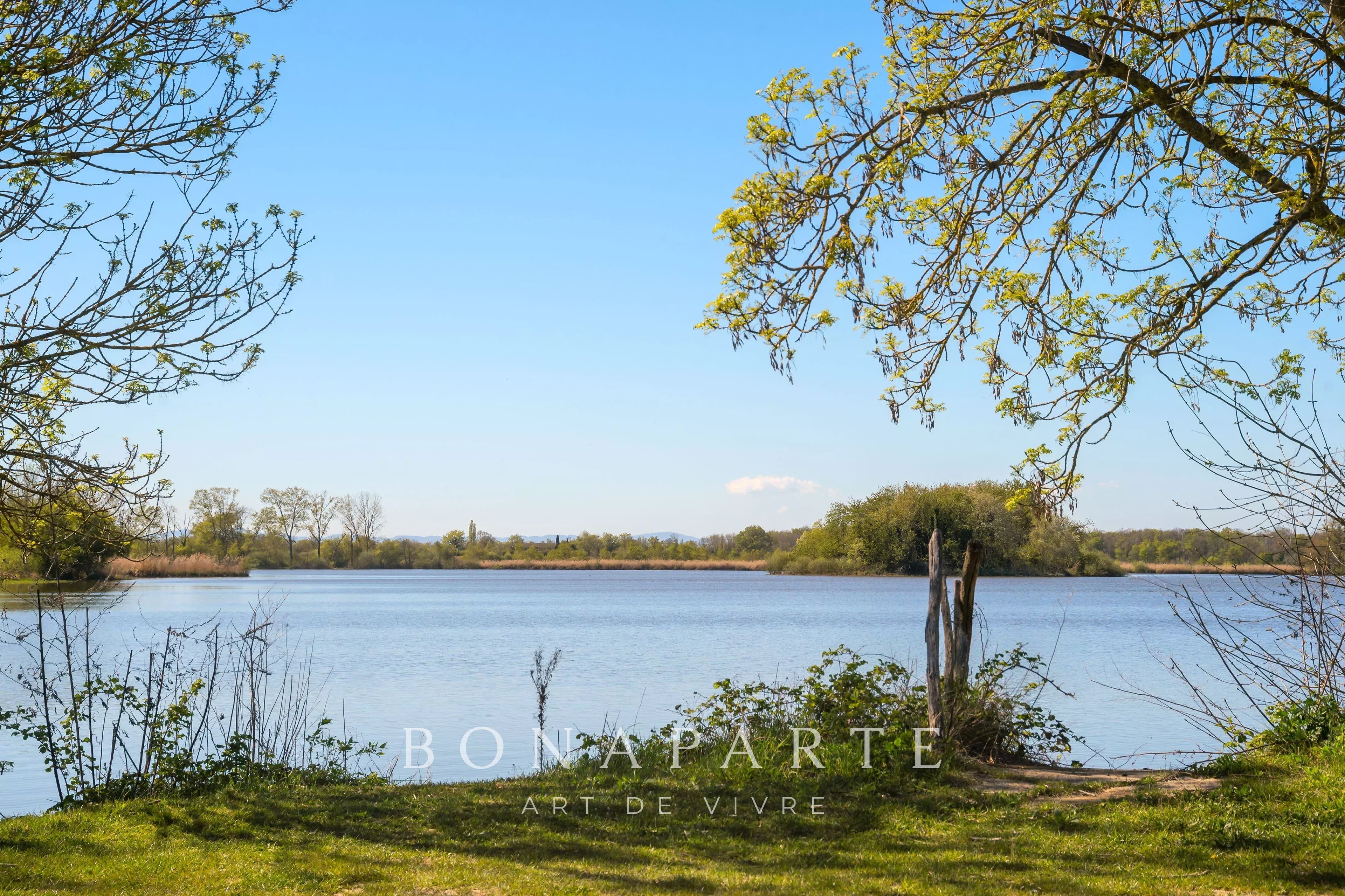 PROPRIÉTÉ EXCEPTIONNELLE DANS LA DOMBES- 118 hec DE PRAIRIES, BOIS ET ETANG