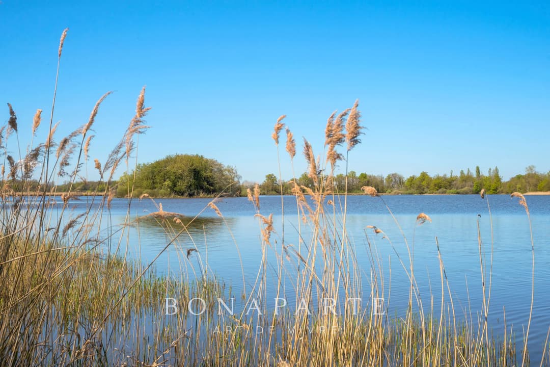 PROPRIÉTÉ EXCEPTIONNELLE DANS LA DOMBES- 118 hec DE PRAIRIES, BOIS ET ETANG - Photo 22
