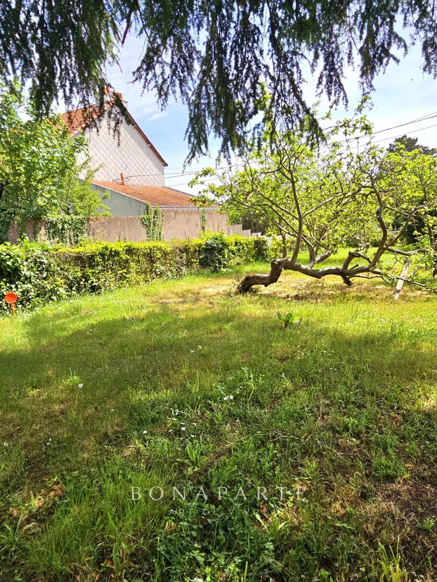 Property feature image