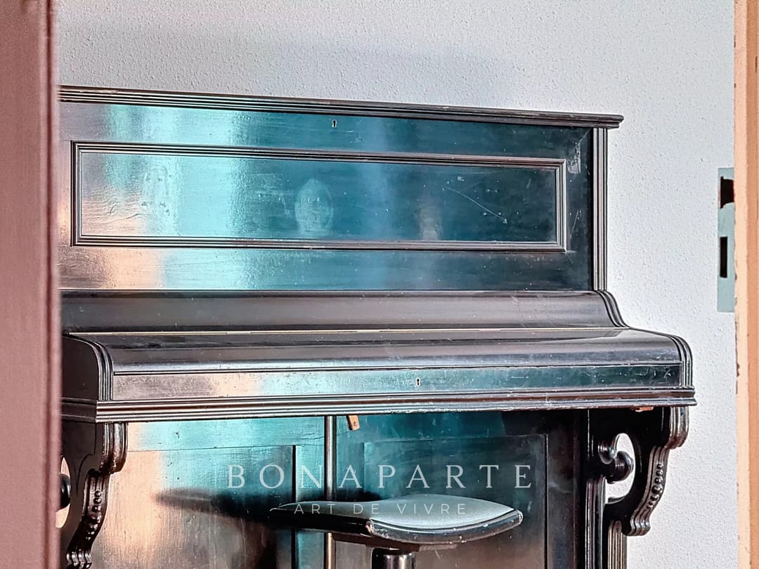 Gex - Appartement de caractère de 192 m² et 246 m² au sol - Photo 22