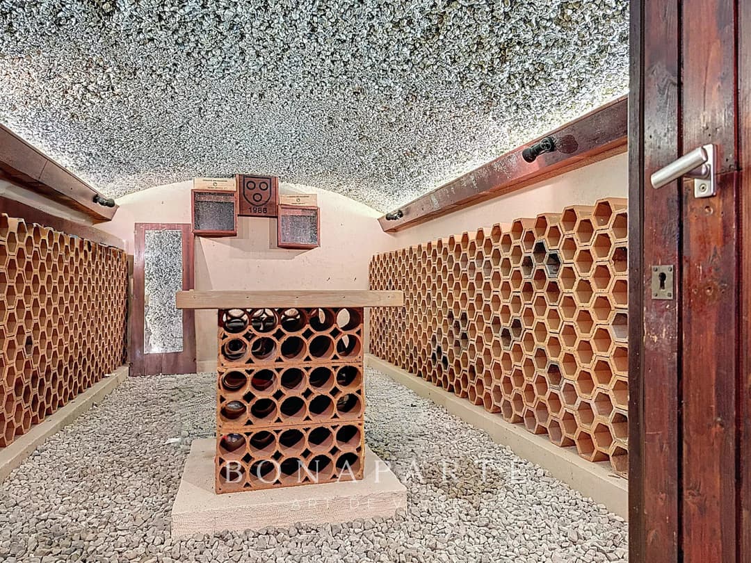 Échenevex - Maison familiale avec jardin - Photo 9