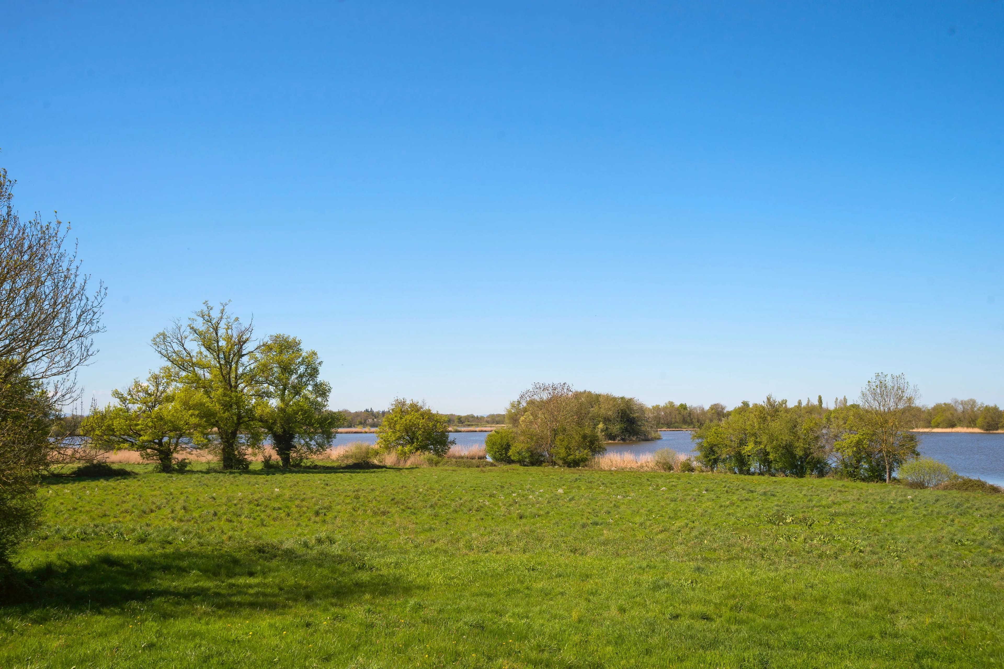 PROPRIÉTÉ EXCEPTIONNELLE DANS LA DOMBES- 118 ha DE PRAIRIES, BOIS ET ETANG - Photo 17