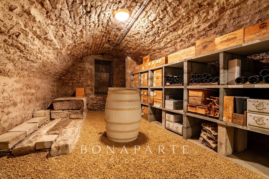 Demeure XIXème  d’Exception – Élégance, Lumière et Art de Vivre au Cœur de Niort - Photo 9