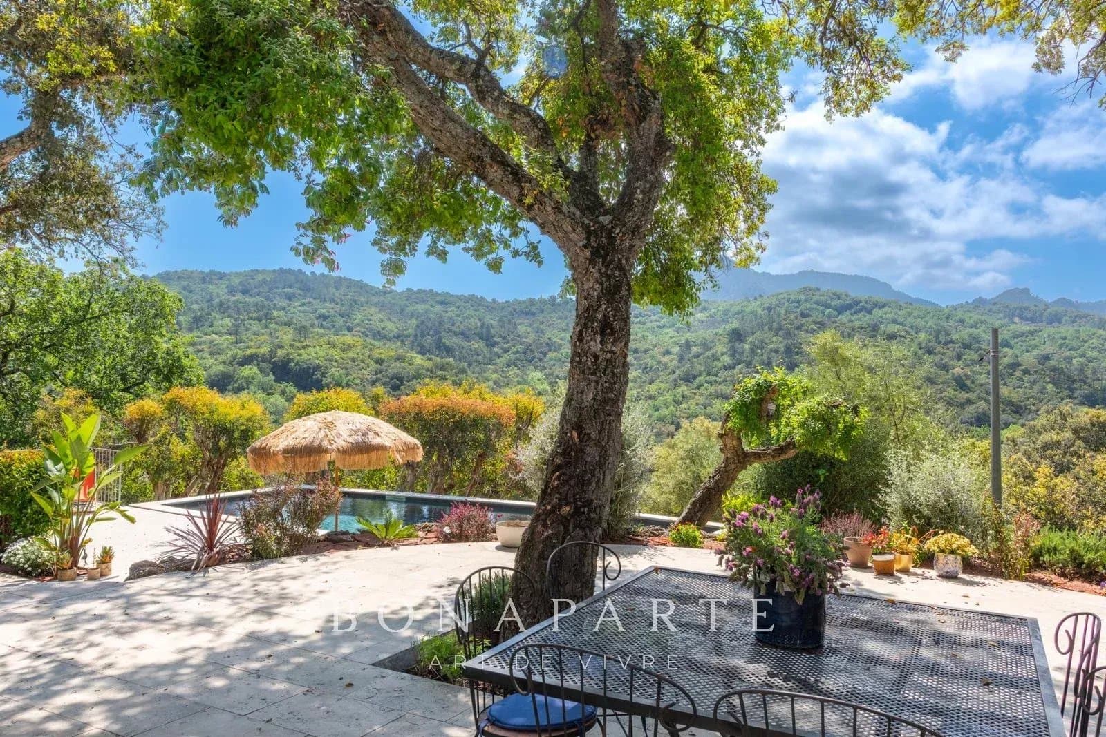 LES ADRETS-DE-L'ESTEREL - DOMAINE DE 10 HA - ÉCURIES - 5 HABITATIONS - LAC - Photo 15