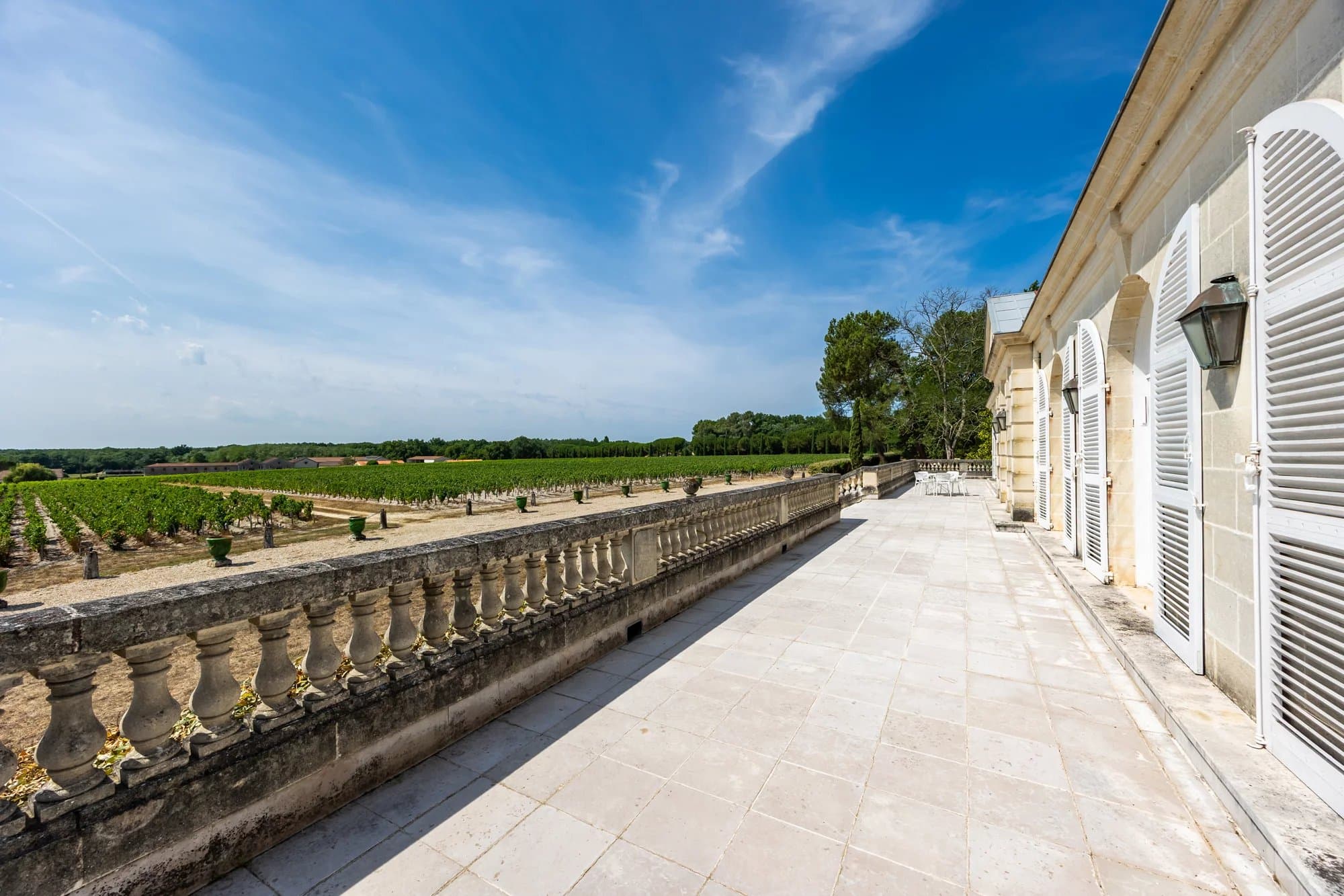 EXCLUSIVITÉ - ST LAURENT MÉDOC - DOMAINE D'EXCEPTION DE 11 HECTARES VUE PANORAMIQUE - Photo 3