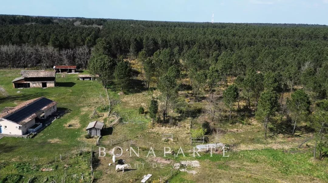 LE TEMPLE : PROPRIETE DE 18 HECTARES A 15 MINUTES DE LEGE ET DES PLAGES OCEANES - Photo 2