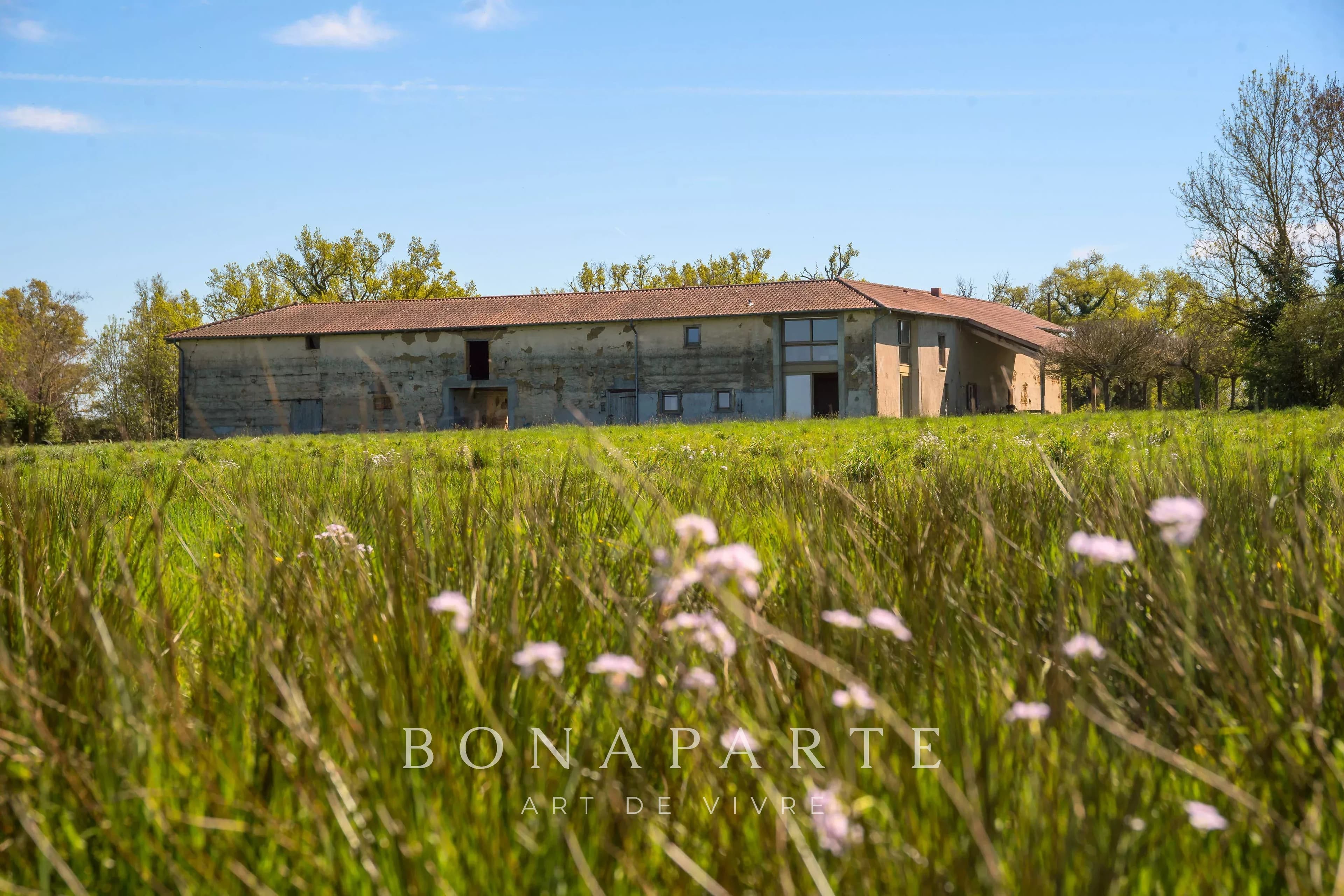 PROPRIÉTÉ EXCEPTIONNELLE DANS LA DOMBES- 118 hec DE PRAIRIES, BOIS ET ETANG - Photo 1