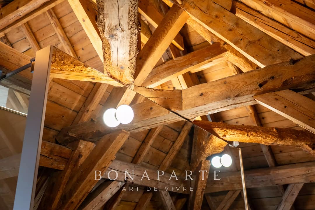 Cessy - Maison de maître historique - Photo 24