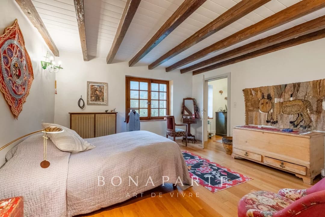 Gex Centre - Propriété de caractère - Photo 14