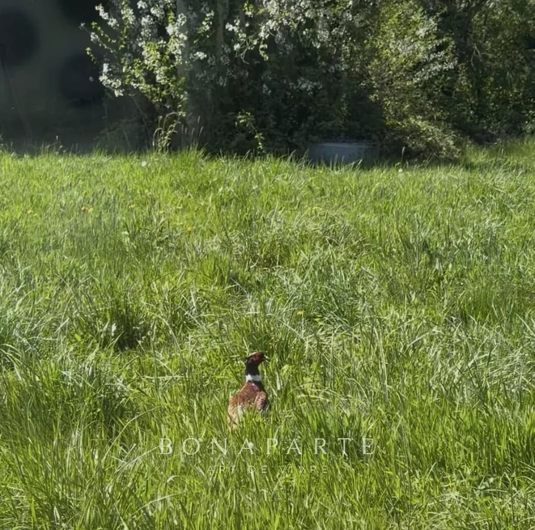 PROPRIÉTÉ EXCEPTIONNELLE DANS LA DOMBES- 118 hec DE PRAIRIES, BOIS ET ETANG - Photo 24
