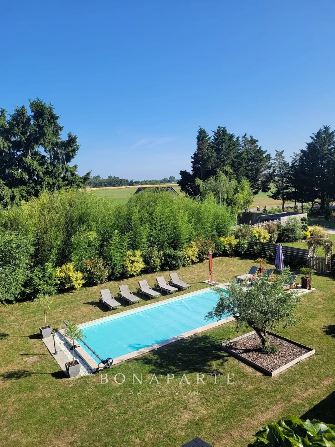 LES ROSIERS SUR LOIRE - PROPRIETE DE CHARME EN BORD DE LOIRE - Photo 3