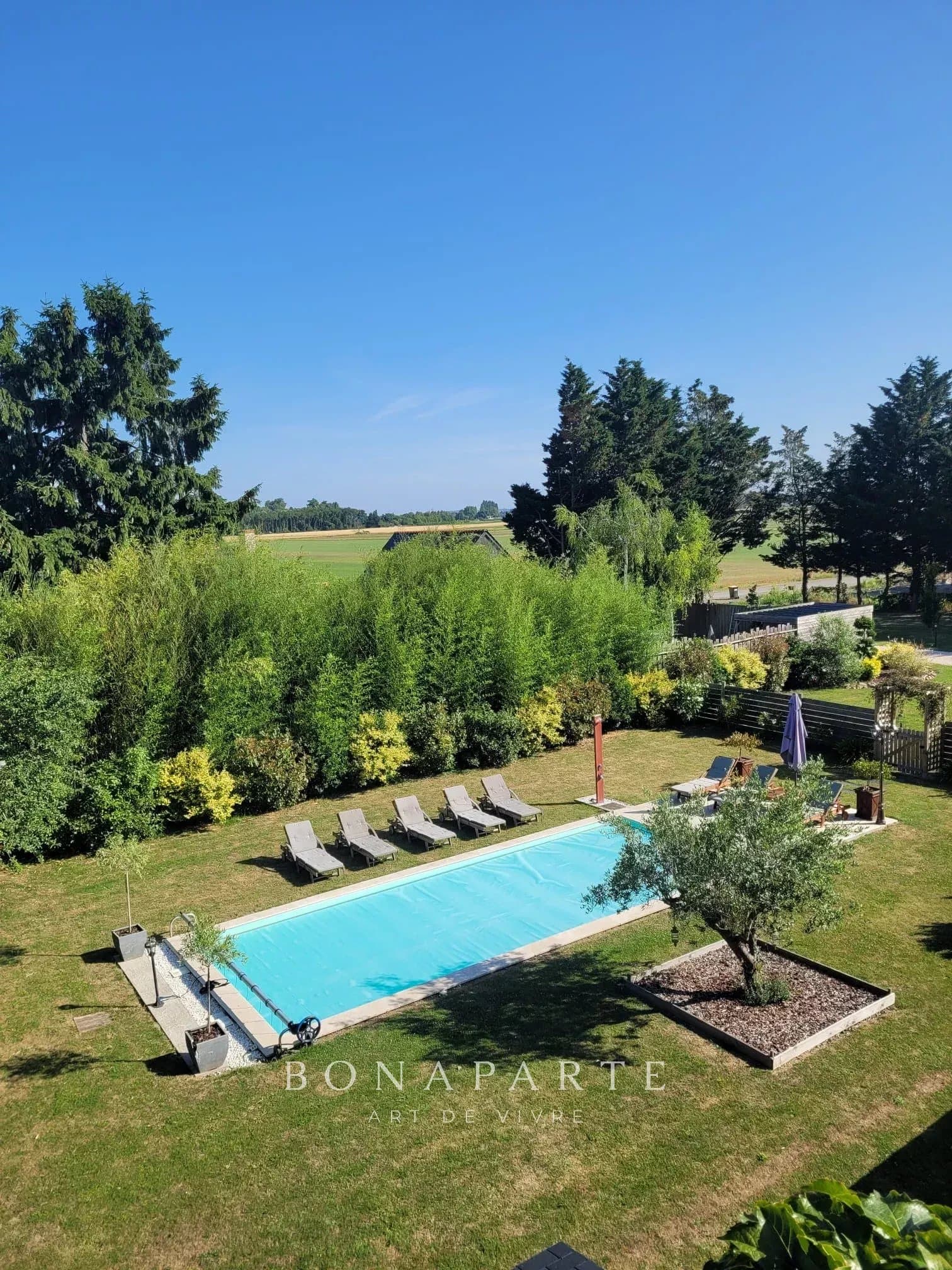 LES ROSIERS SUR LOIRE - PROPRIETE DE CHARME EN BORD DE LOIRE - Photo 3