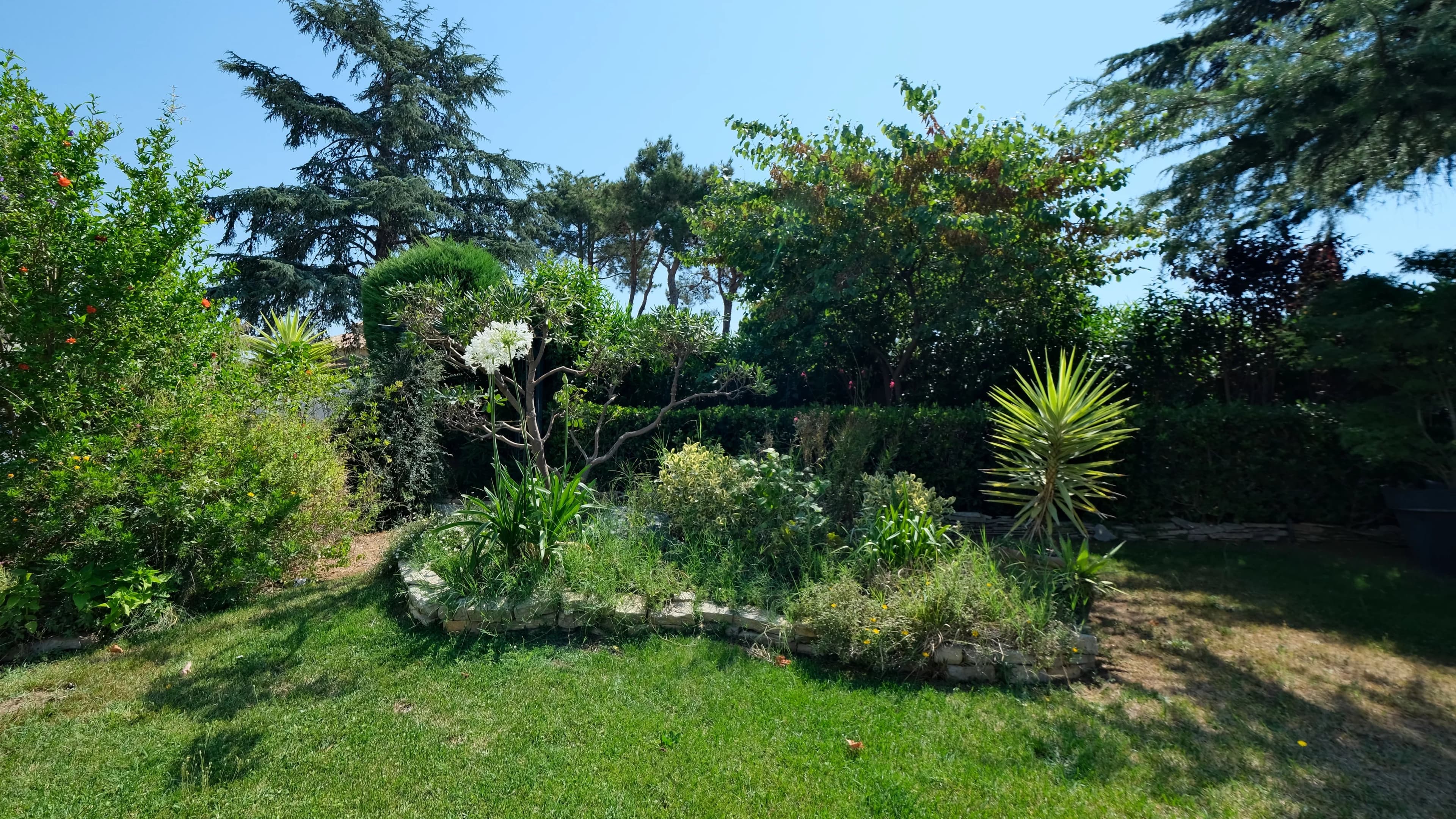 À Sauvian, maison familiale rénovée avec piscine et grand jardin paysager de 1 000 m² - Photo 17