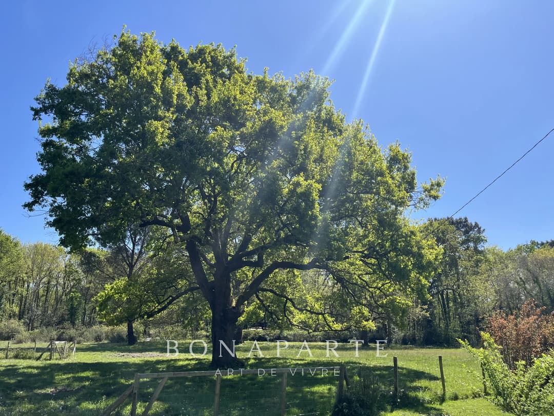 VENSAC - PROPRIETE DE 4,5 HECTARES À 5 MINUTES DES PLAGES OCÉANES - Photo 9