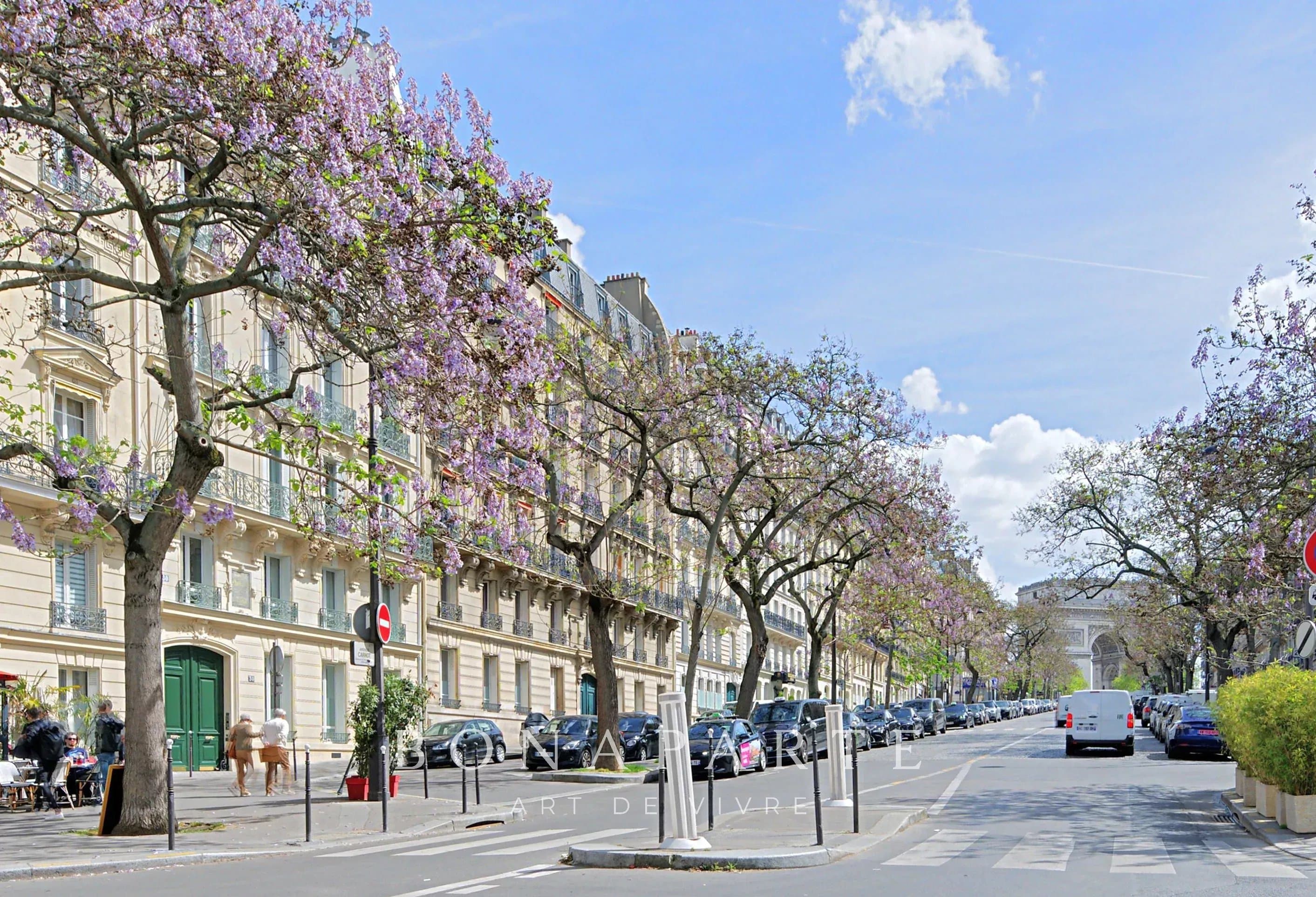 DUPLEX - AVENUE CARNOT - TERNES