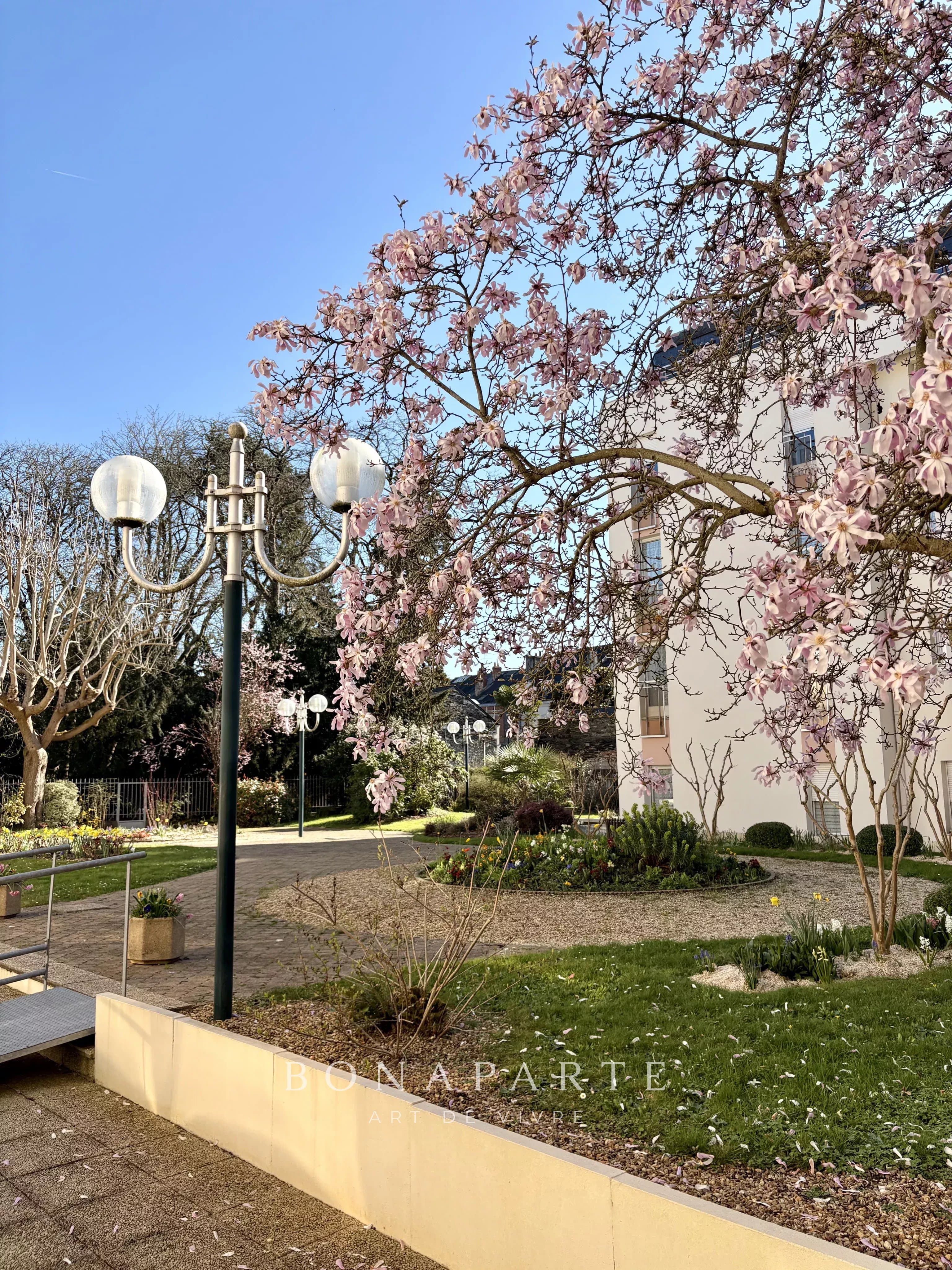 ANGERS / CENTRE VILLE - APPARTEMENT EN RESIDENCE SENIOR