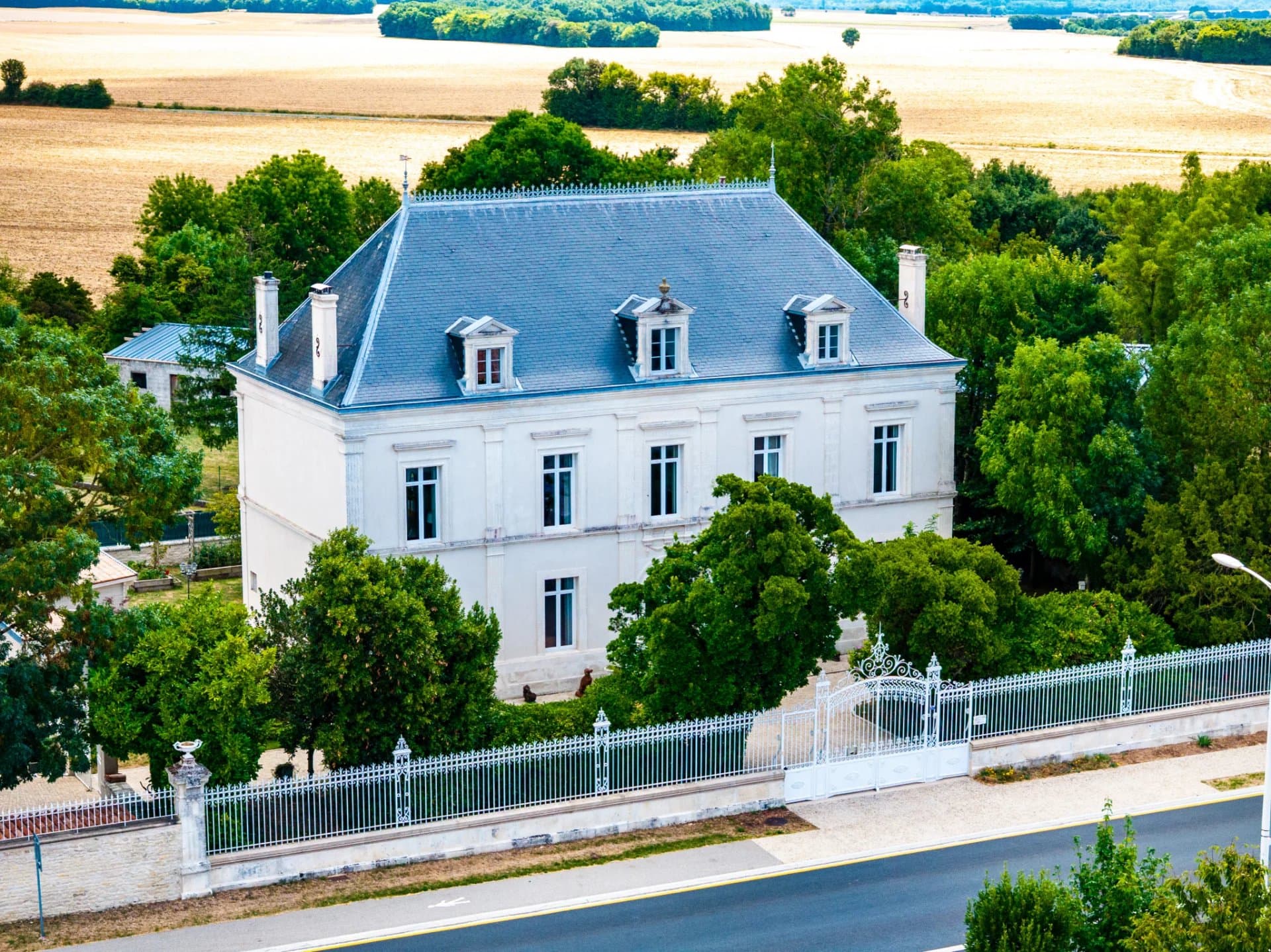 Villeneuve-la-Comtesse - Charme et Art de Vivre à la Française : magnifique Maison de Maître en plein cœur de village - Photo 2