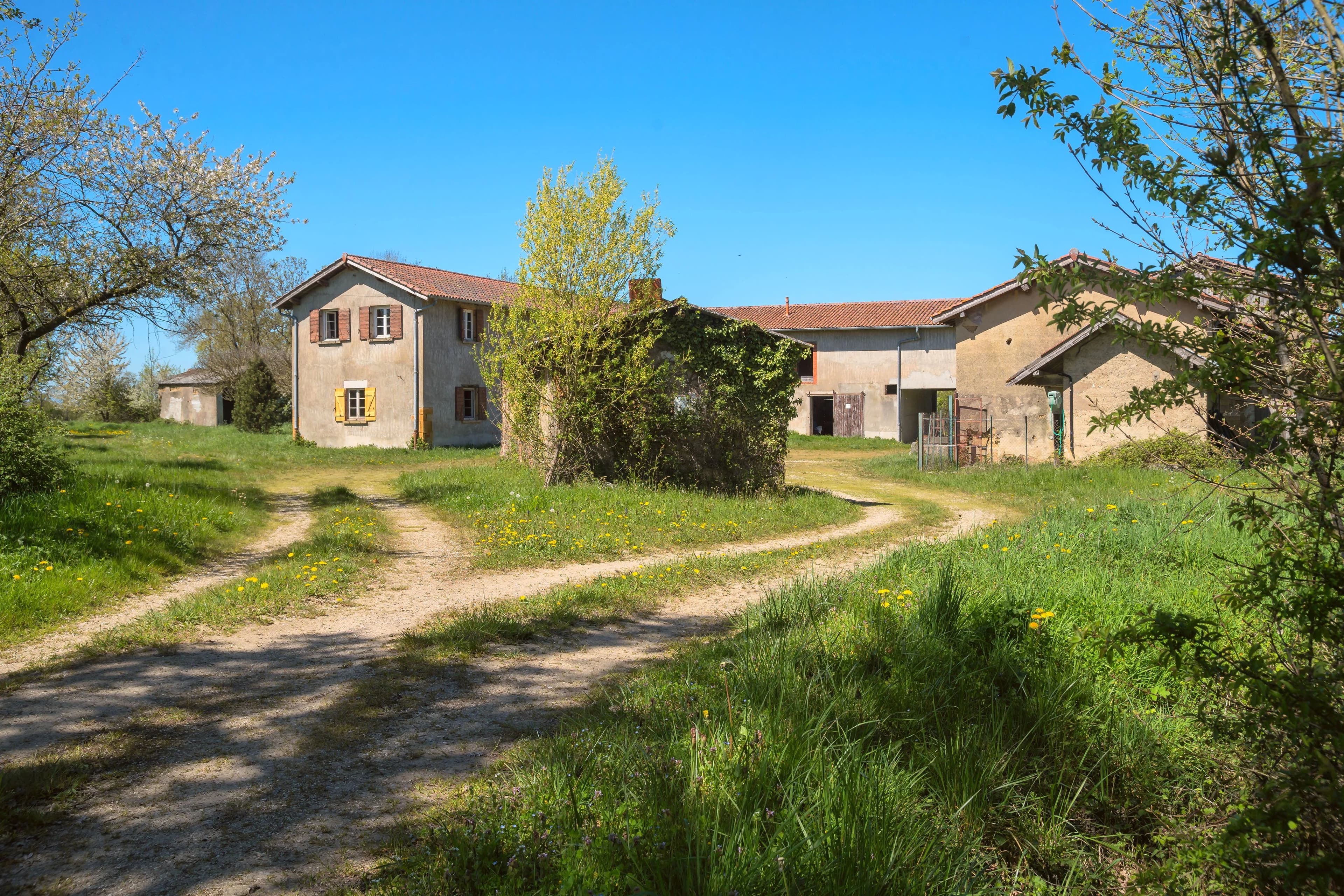 PROPRIÉTÉ EXCEPTIONNELLE DANS LA DOMBES- 118 ha DE PRAIRIES, BOIS ET ETANG - Photo 12