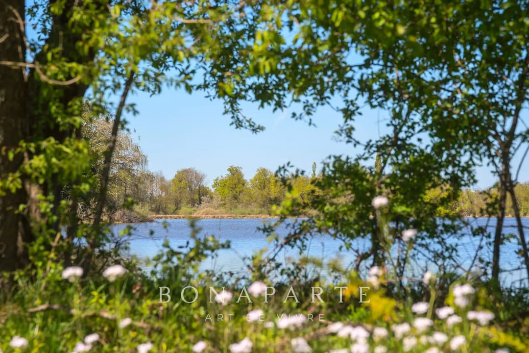 PROPRIÉTÉ EXCEPTIONNELLE DANS LA DOMBES- 118 hec DE PRAIRIES, BOIS ET ETANG - Photo 23