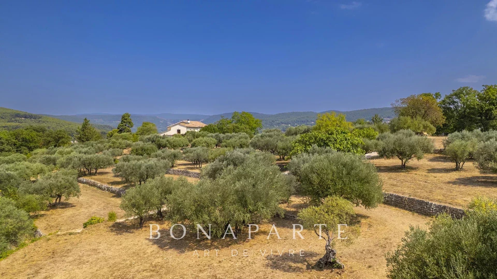 Property feature image